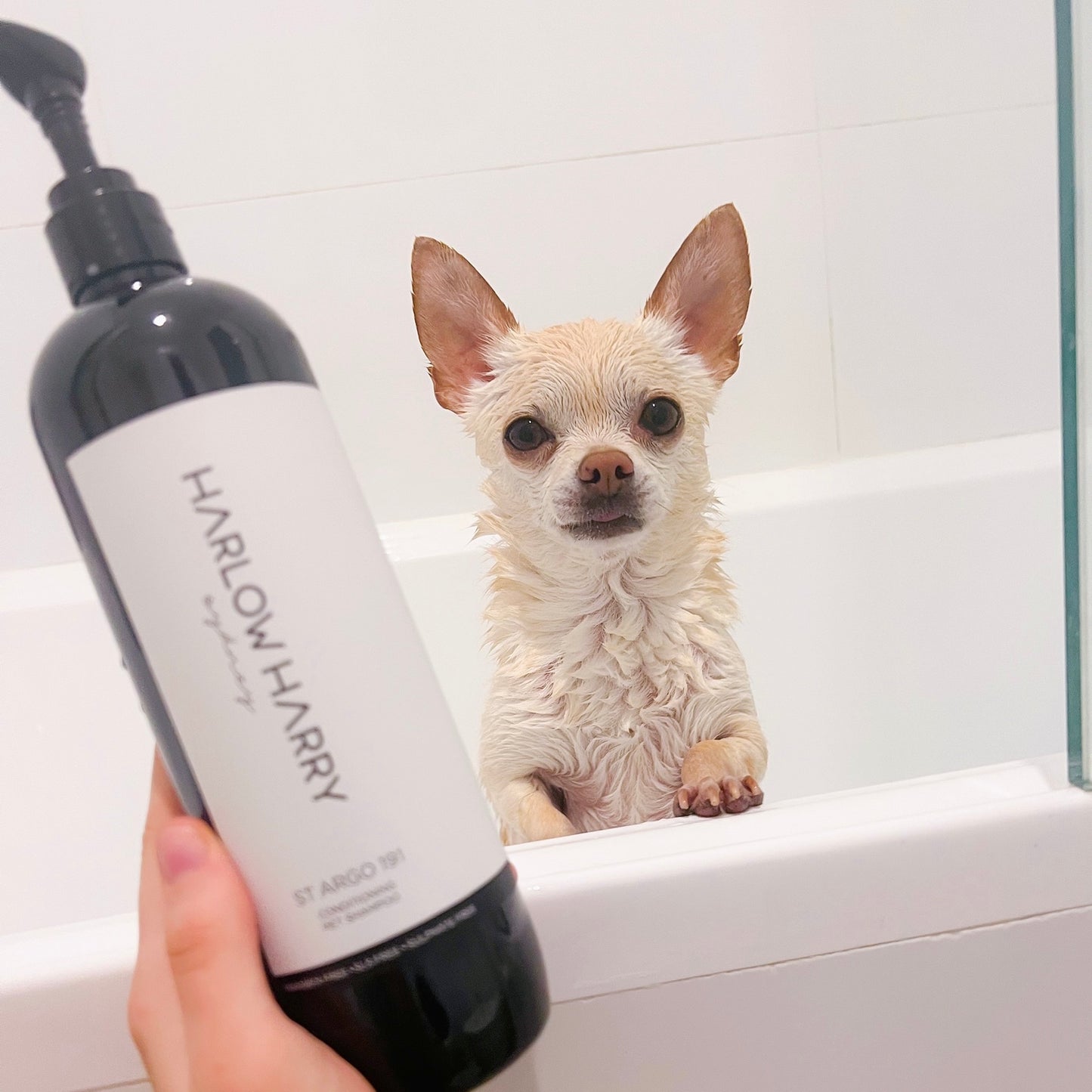 Conditioning Shampoo | St Argo 191