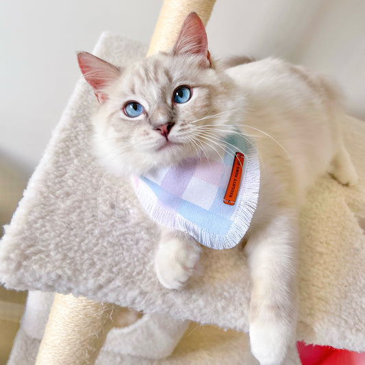 "Florence" Pet bandana