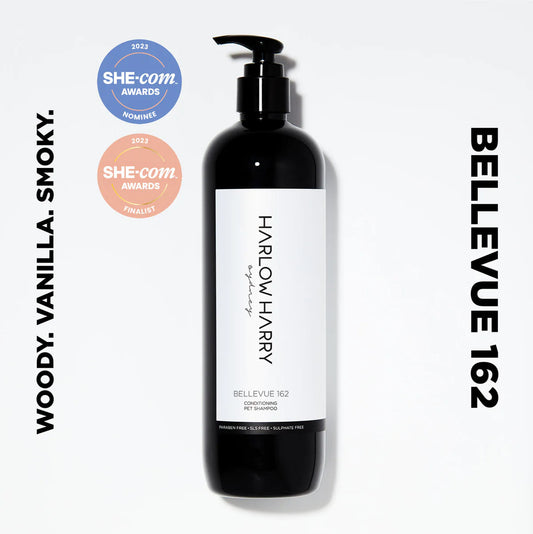 Conditioning Shampoo | Bellevue 162