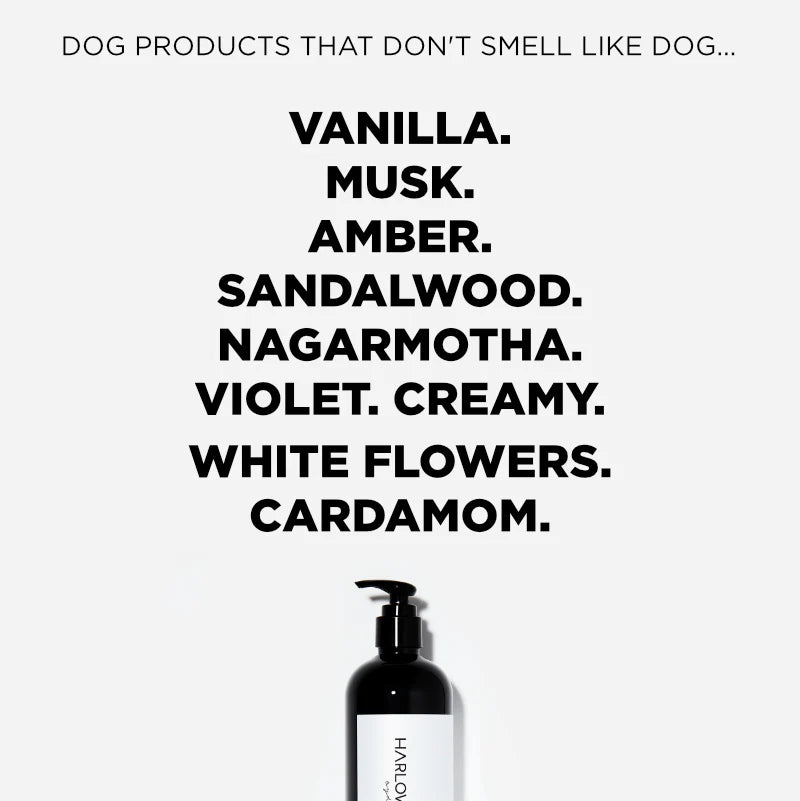 Conditioning Shampoo | Bellevue 162