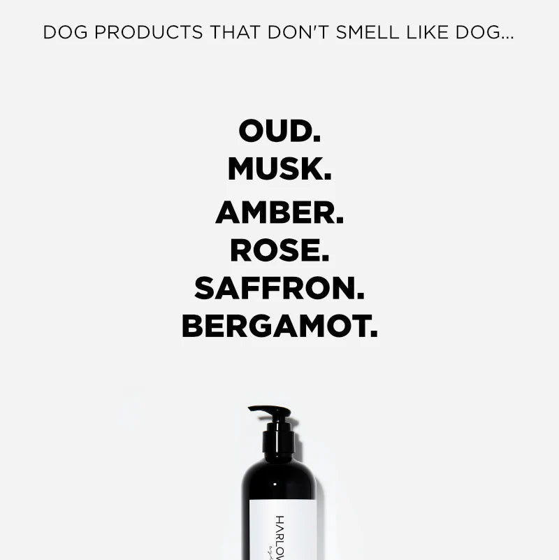 Conditioning Shampoo | St Argo 191