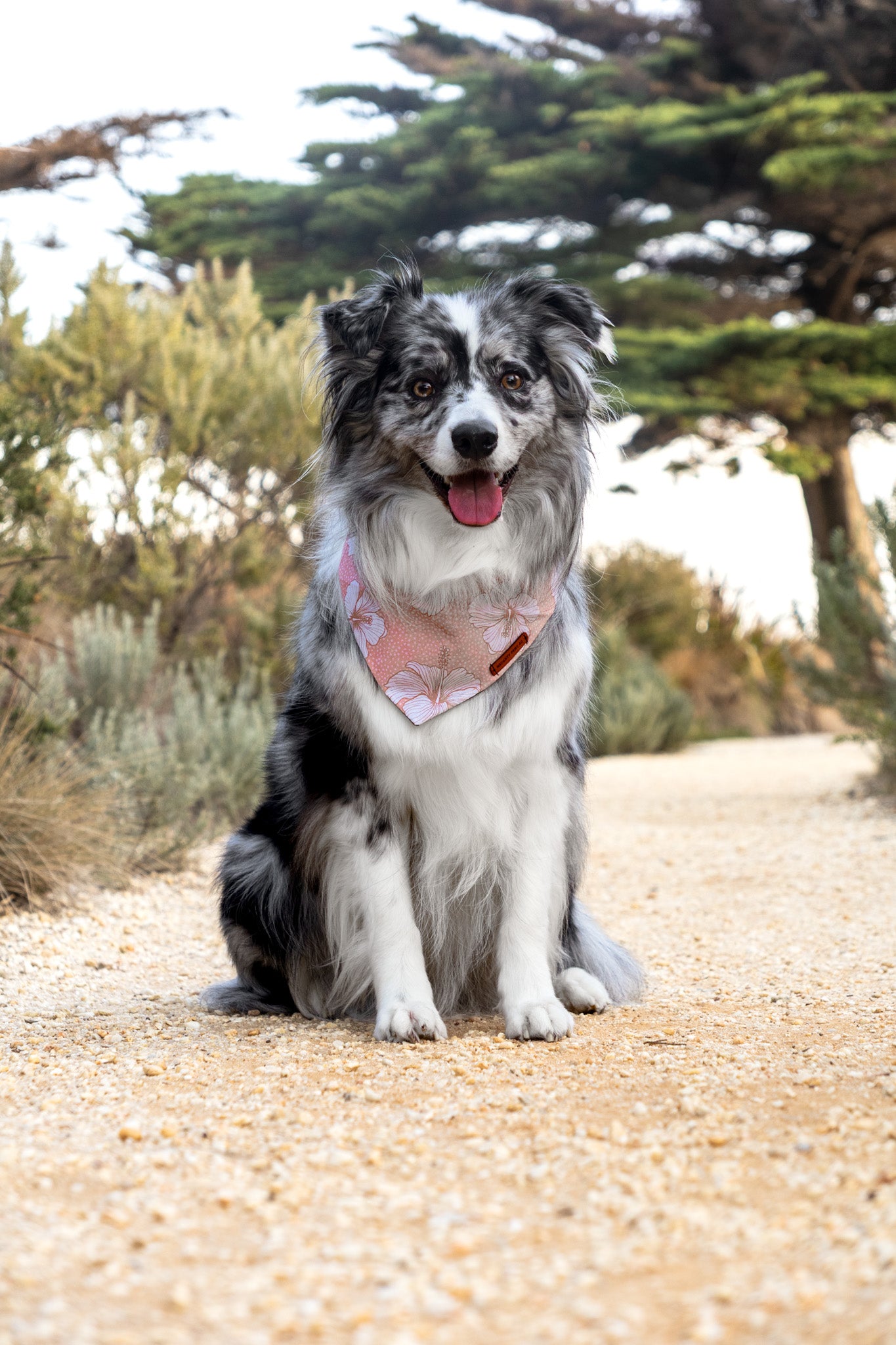 "Beach Please" Pet bandana