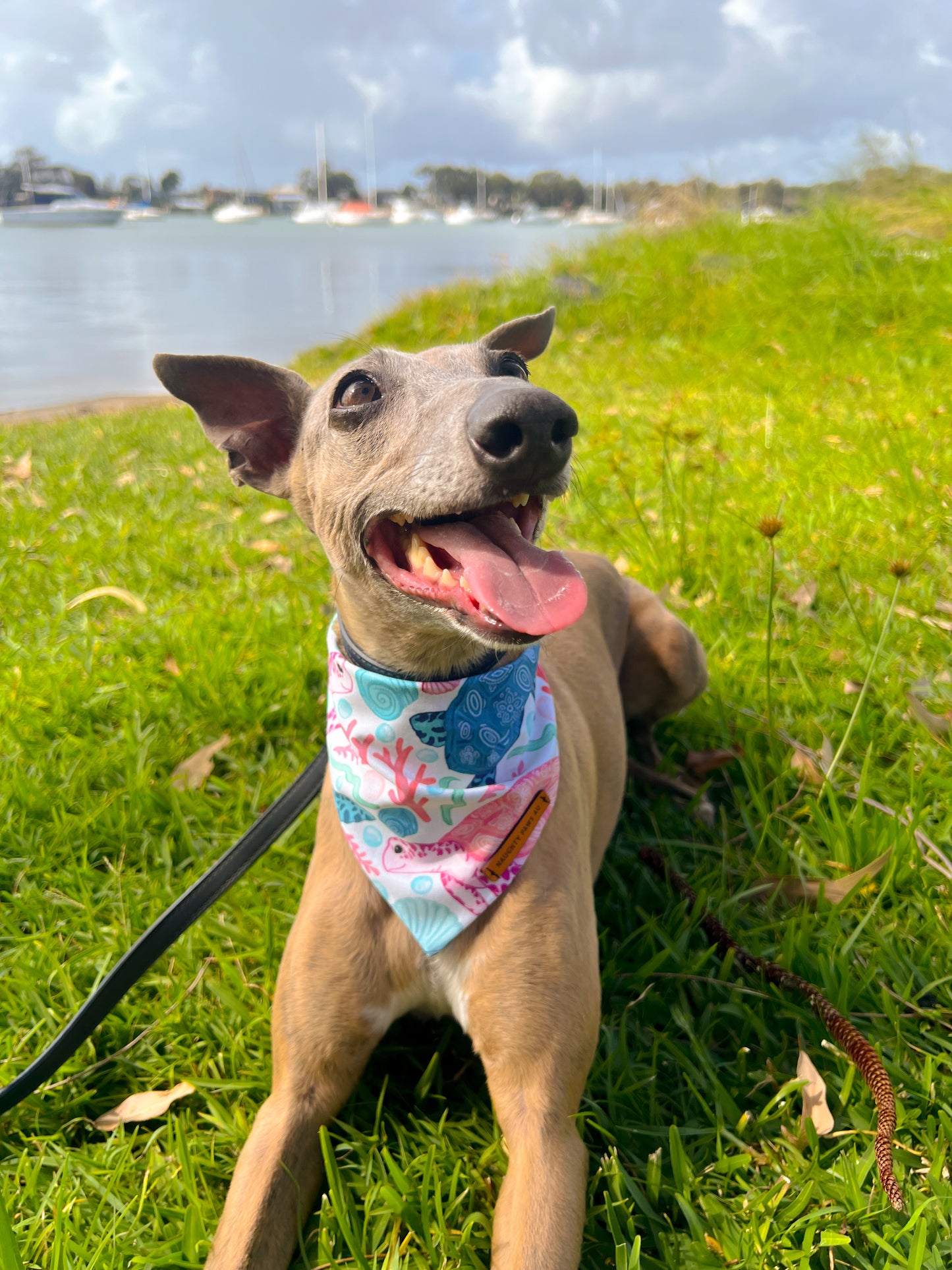 "Marina" Pet bandana