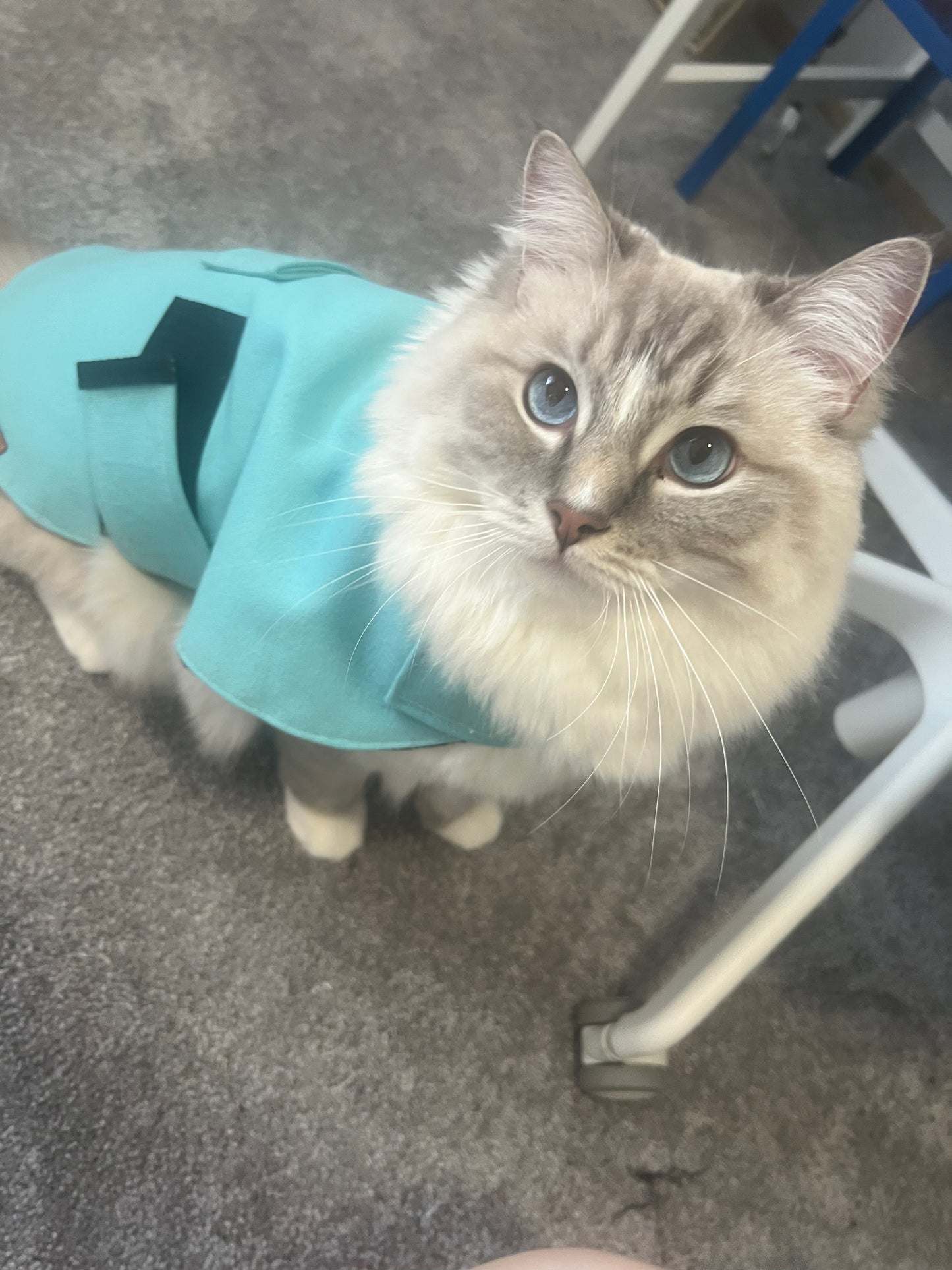 "Ocean" Water Resistant Handmade Dog coat