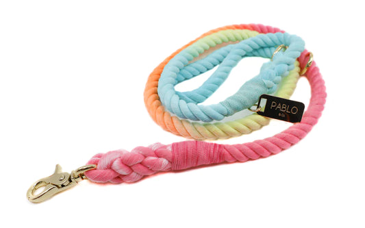 "CandyLand" Rope Leash | Pablo & Co