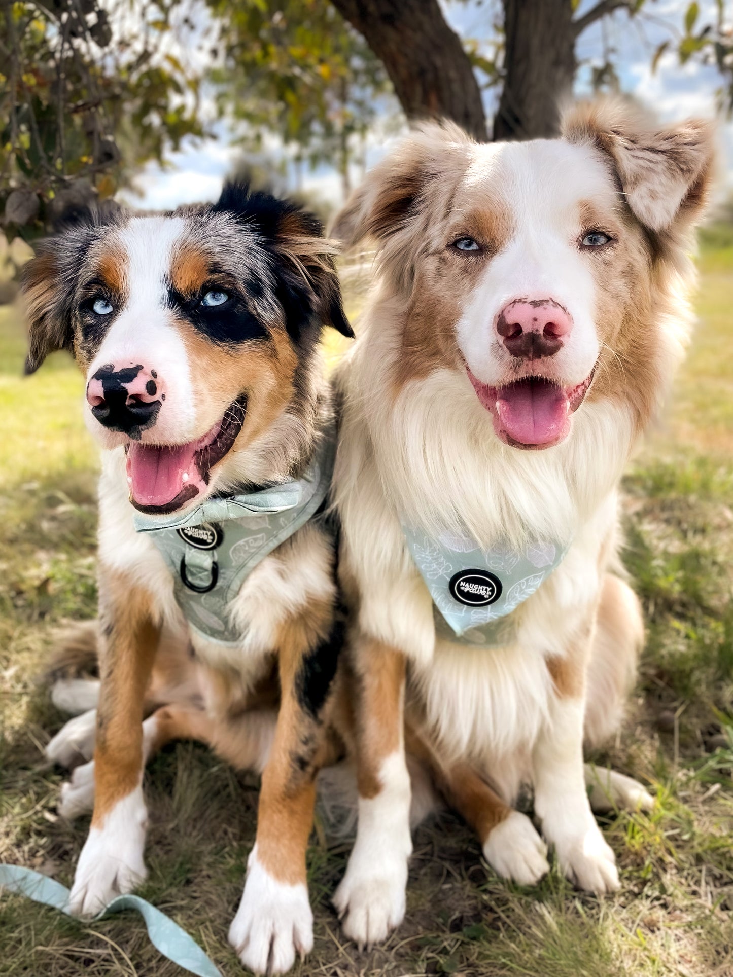 Hunter: Adjustable Harness