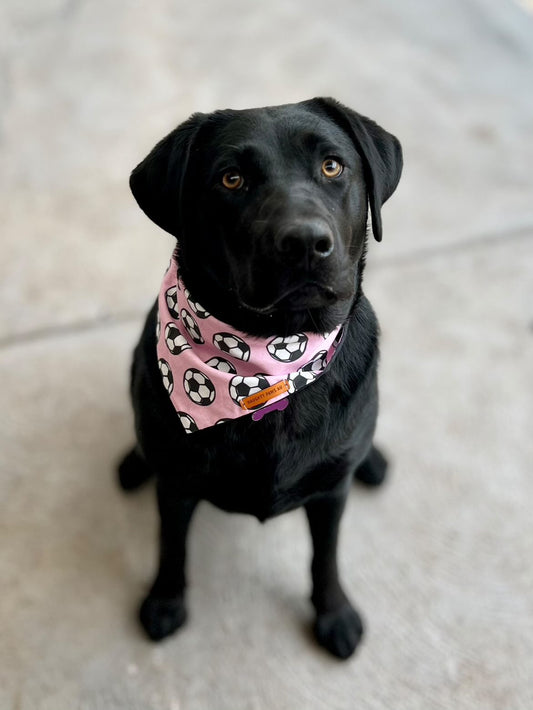"GOALLL!" (PINK) Pet bandana