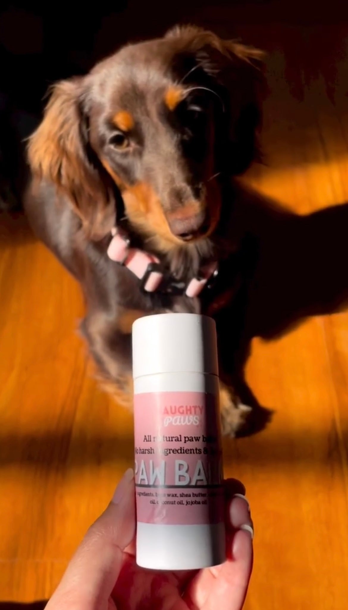 Push Up Paw Balm 60mL