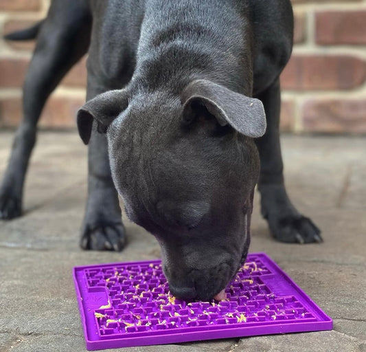 LickiMat Classic Buddy