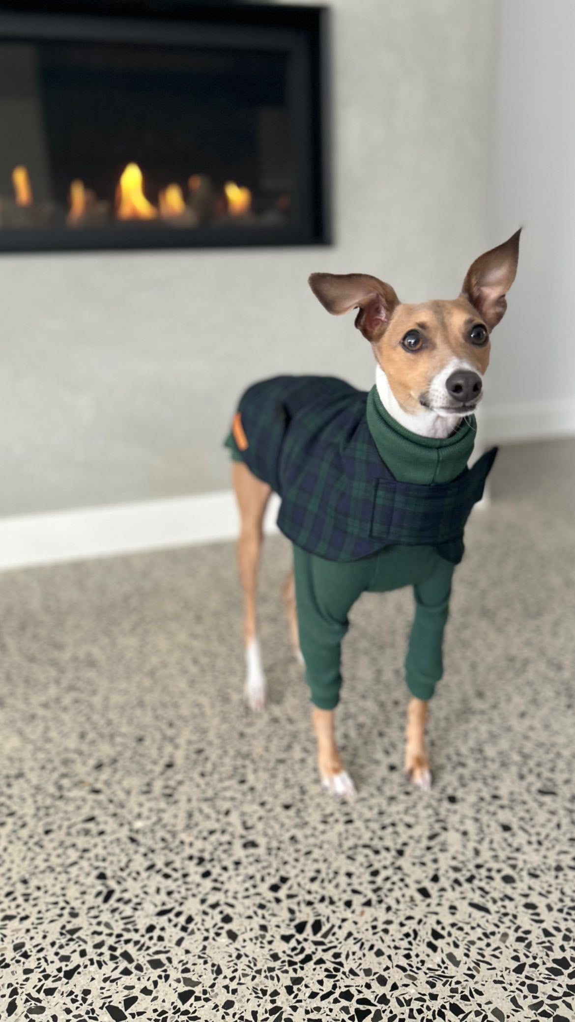 "Forest" Handmade Dog coat