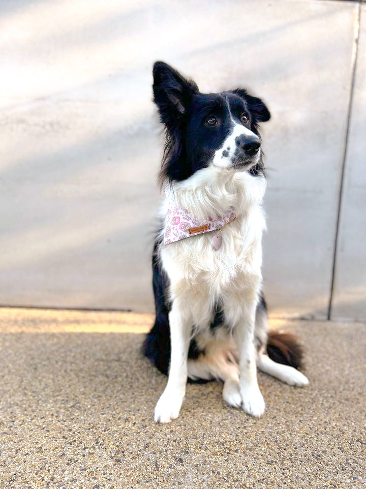 "Fries Before Guys" Pet bandana