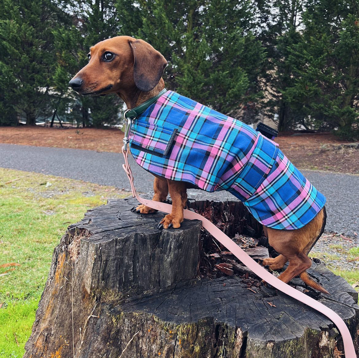"Bubblegum" Handmade Dog coat