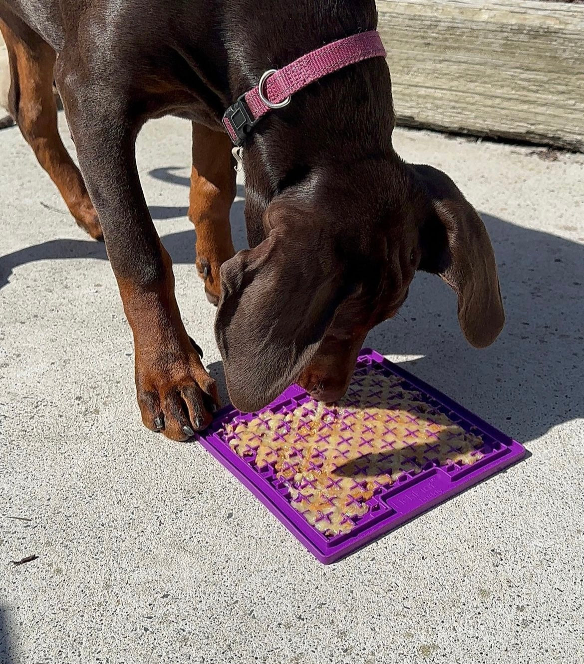 LickiMat Classic Buddy