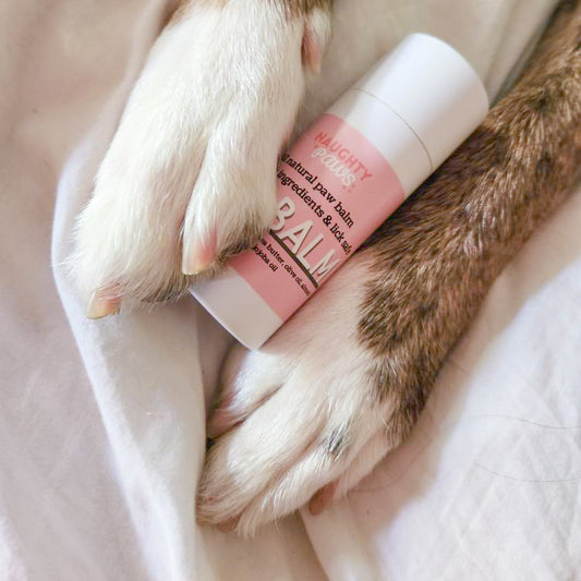 Push Up Paw Balm 60mL
