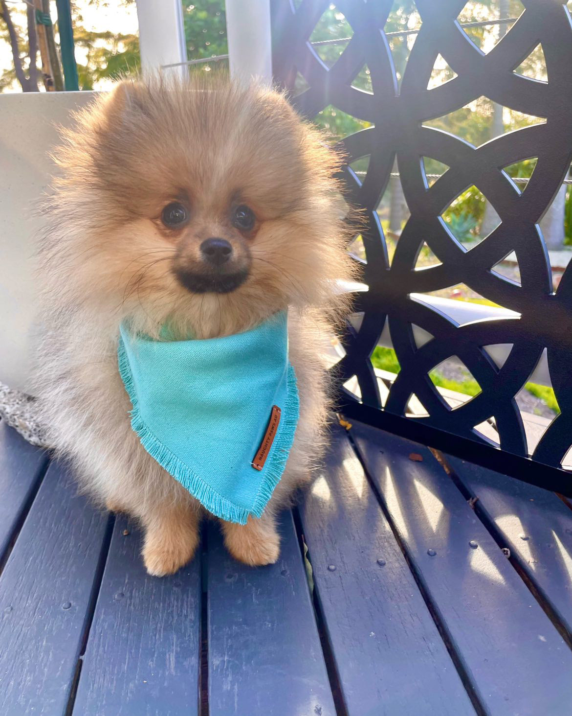 "Ocean" frayed pet bandana