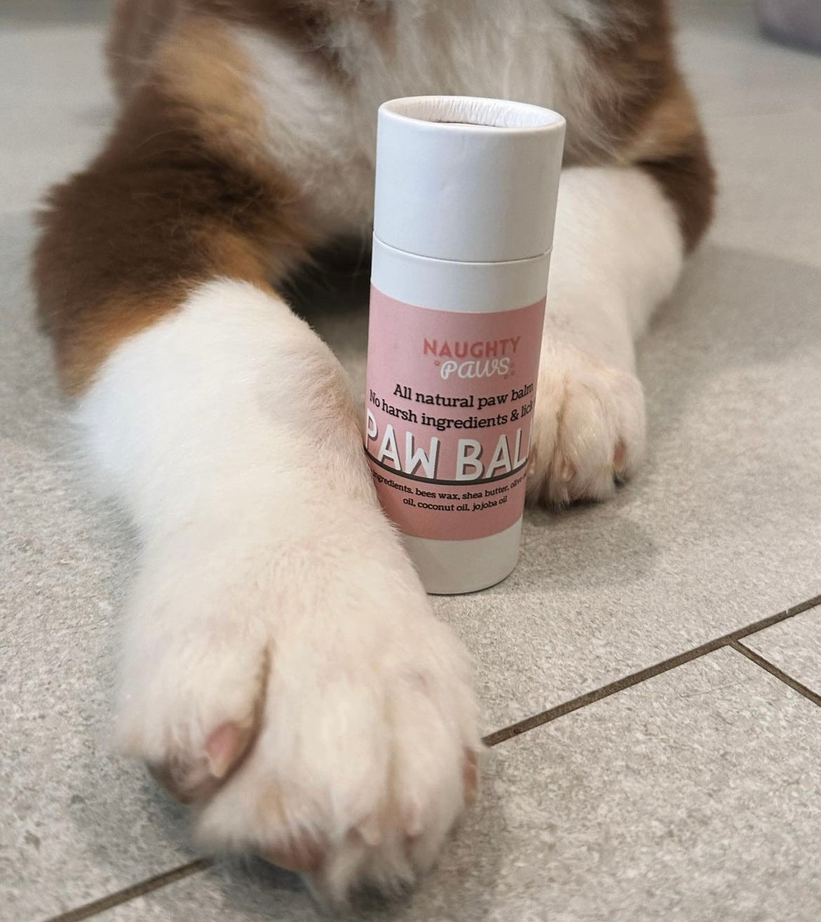 Push Up Paw Balm 60mL