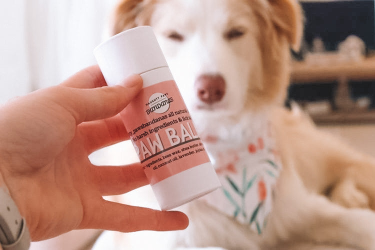 Push Up Paw Balm 60mL