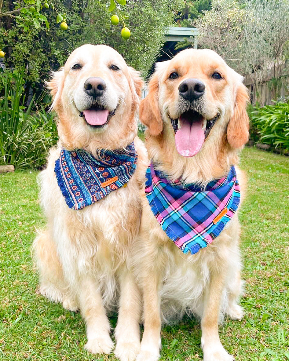 "Bubblegum" Pet bandana