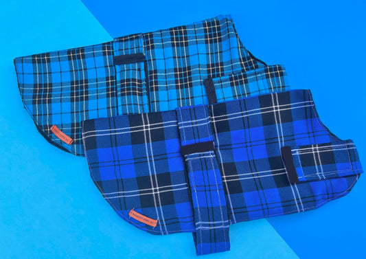 "Na'vi" Handmade Dog coat