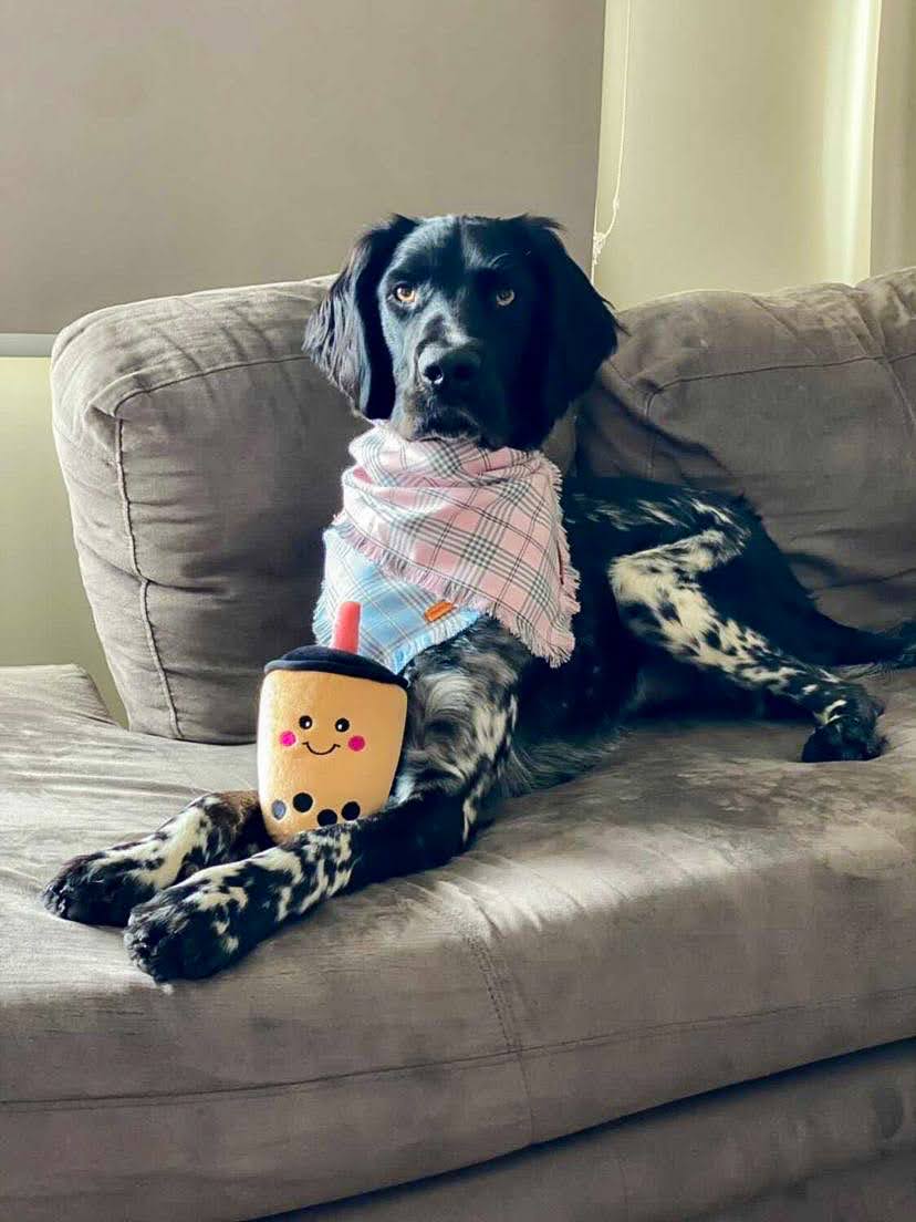 Zippy Paws NomNomz - Boba Milk Tea