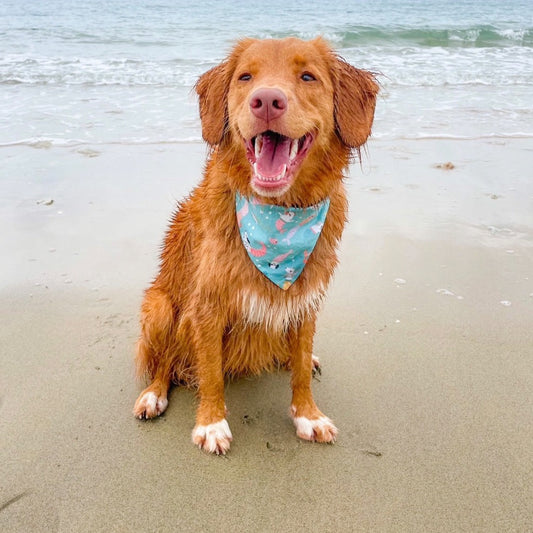 "The Little Mer-pup" Dog bandana