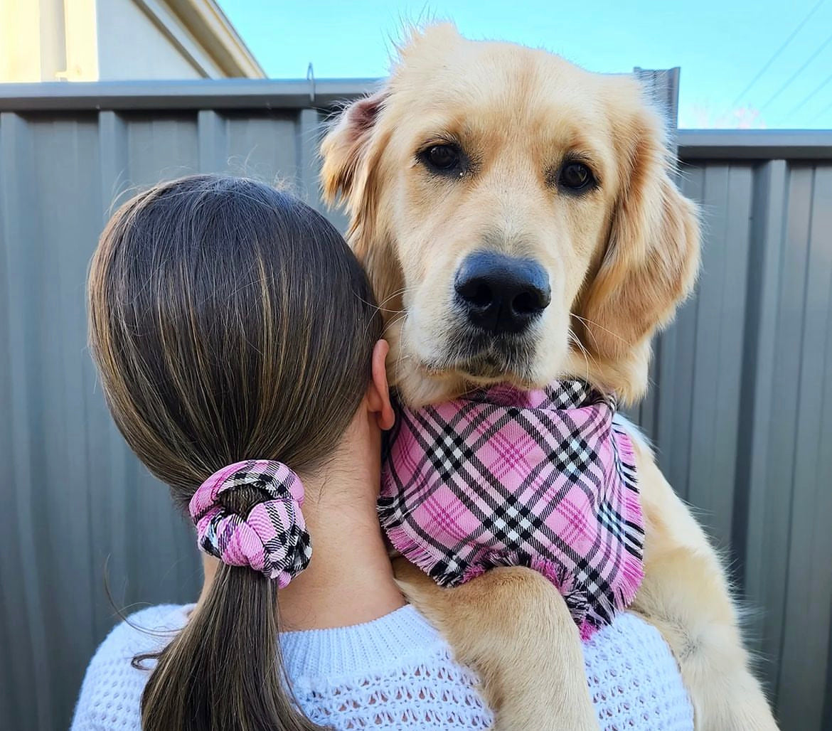 "Liquorice Allsorts" Pet bandana