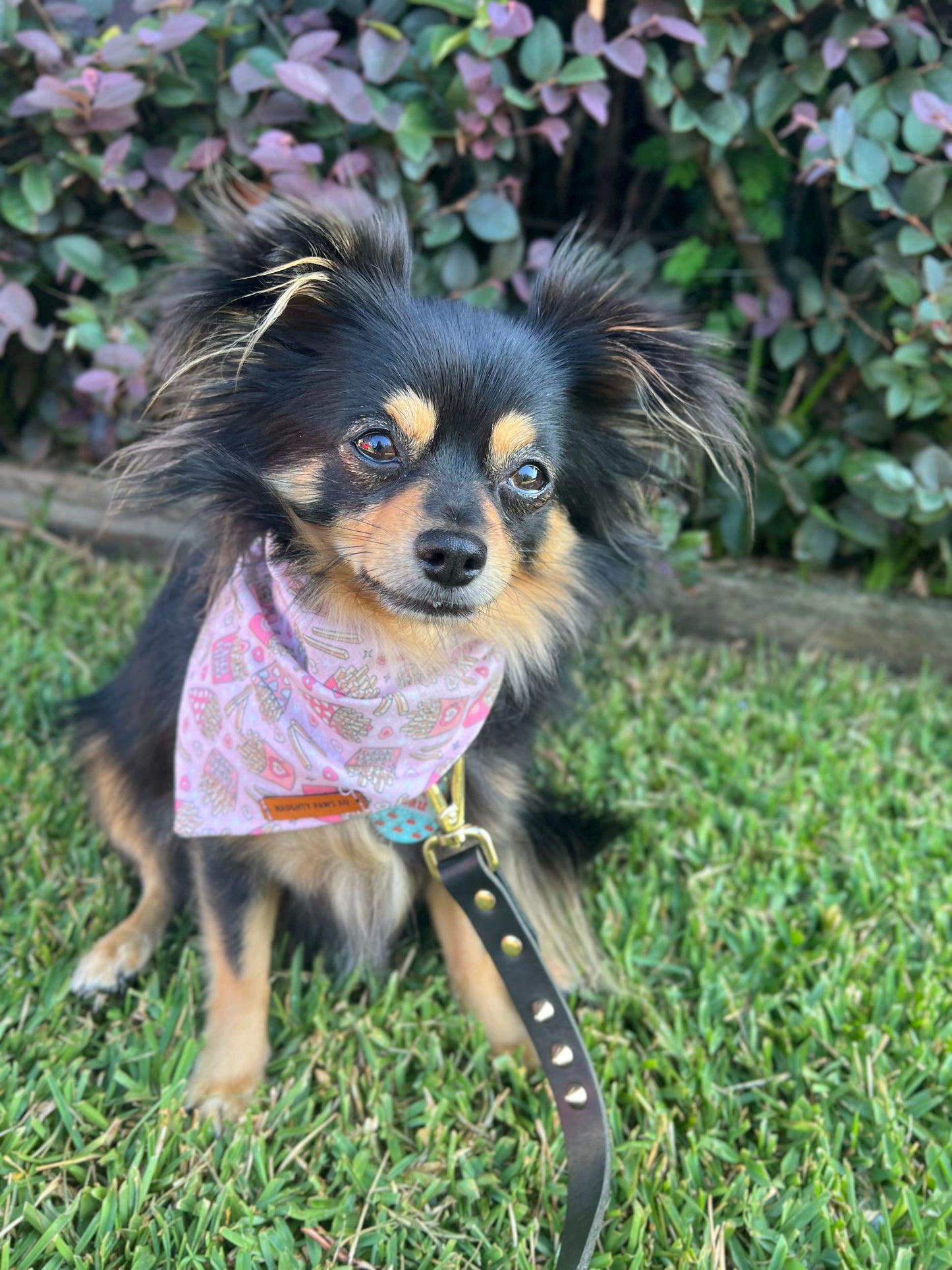 "Fries Before Guys" Pet bandana