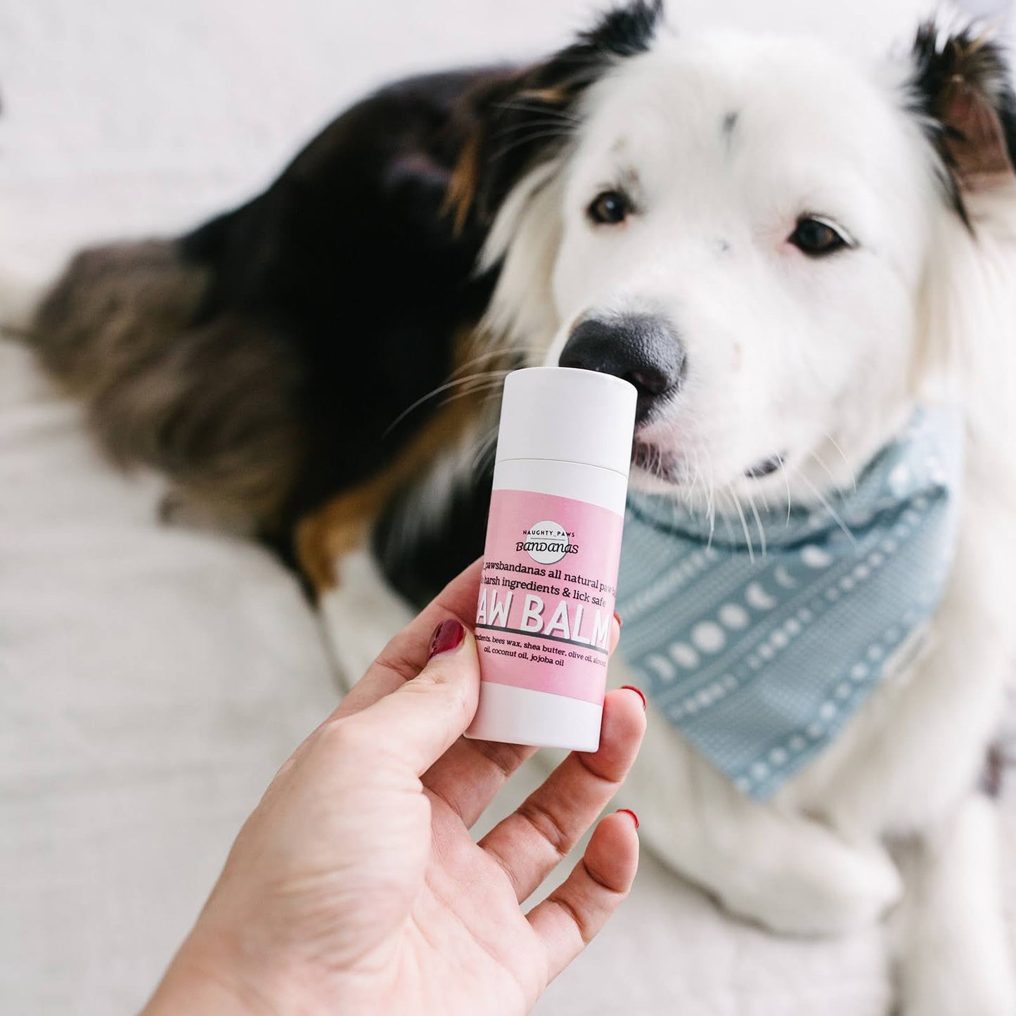 Push Up Paw Balm 60mL