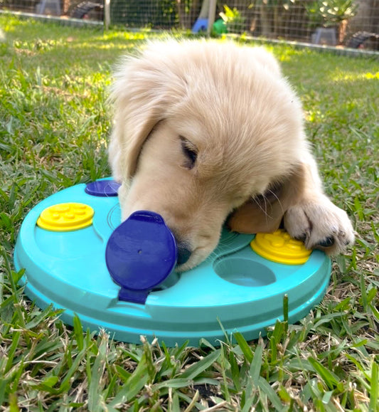 Zippy Paws SmartyPaws Puzzler