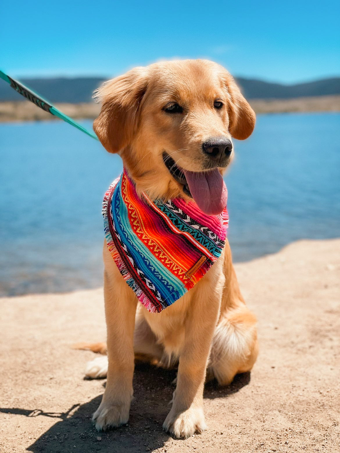 "Aphrodite" pet bandana