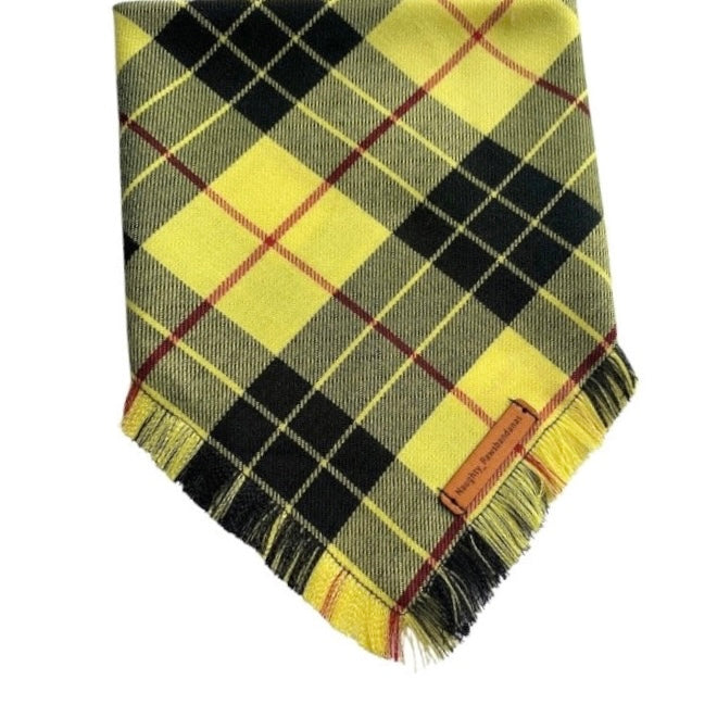 "Clueless" Frayed pet bandana