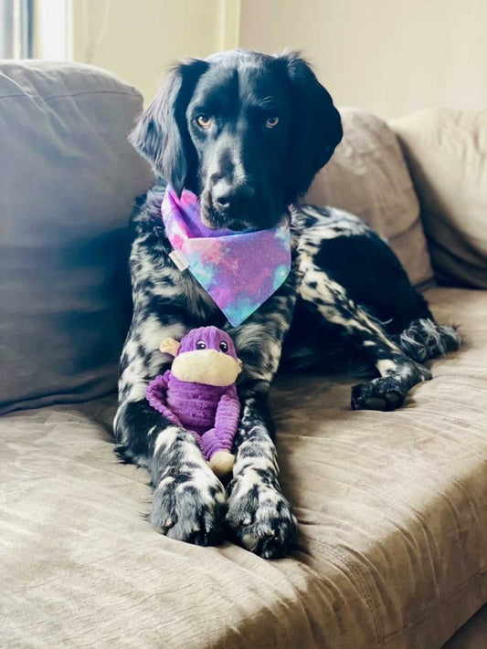 Zippy Paws Spencer the Crinkle Monkey - Purple
