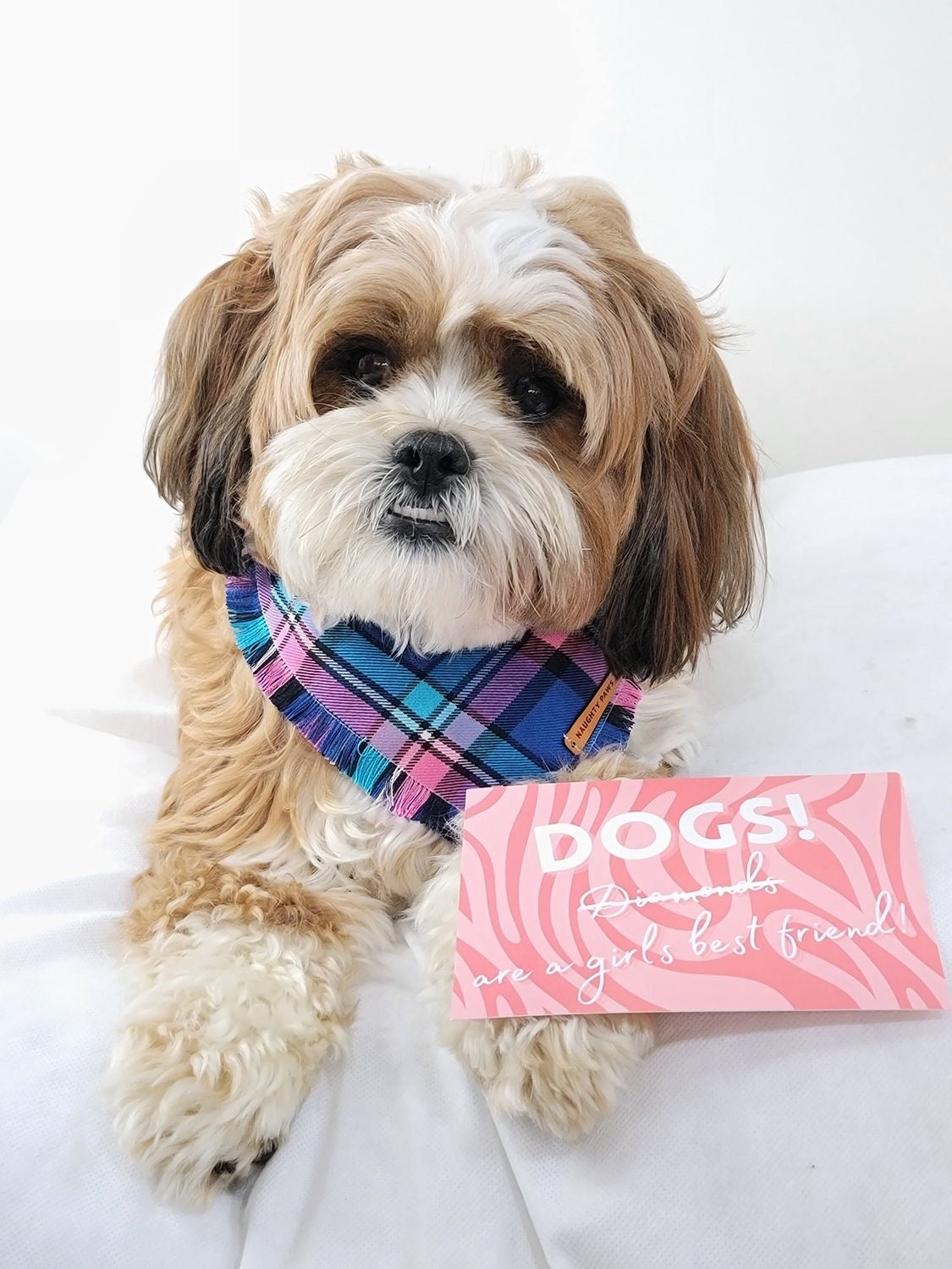 "Bubblegum" Pet bandana