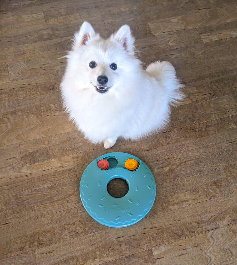 Zippy Paws SmartyPaws Puzzler Interactive Dog Toy - Donut Slider