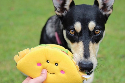 Zippy Paws NomNomz - Taco