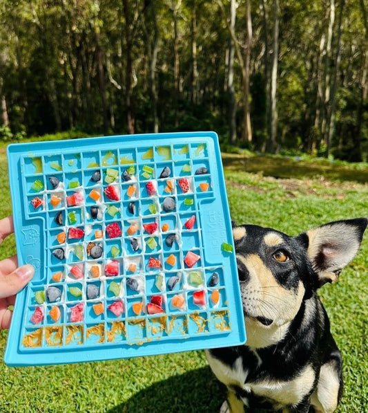 LickiMat Classic Playdate