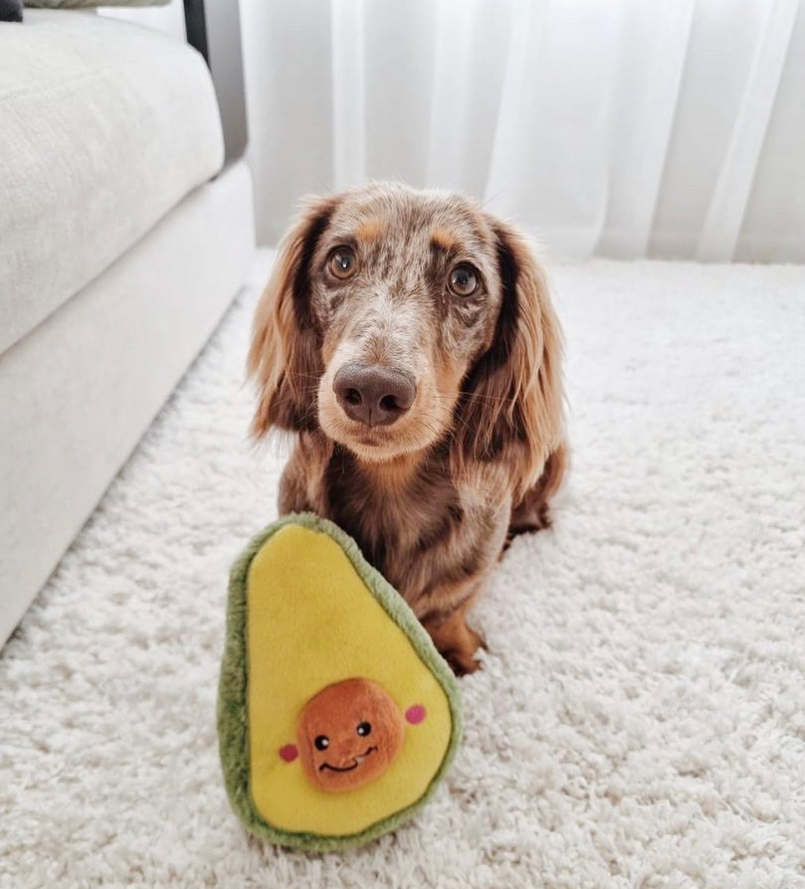 Zippy Paws NomNomz - Avocado