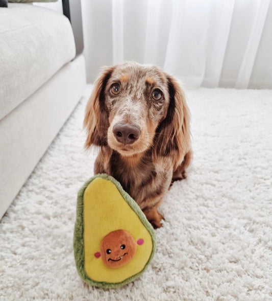 Zippy Paws NomNomz - Avocado