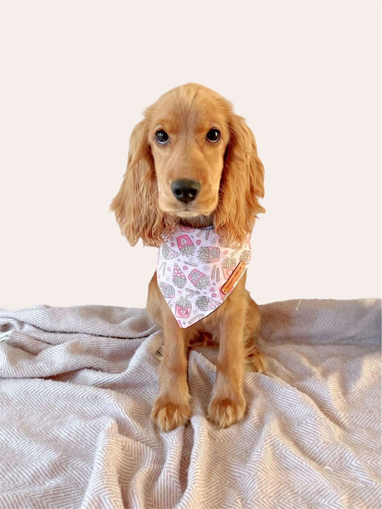 "Fries Before Guys" Pet bandana