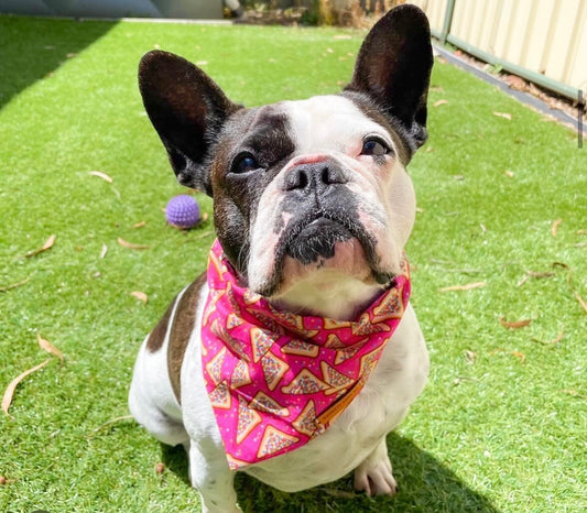 “Fairy bread 2.0”