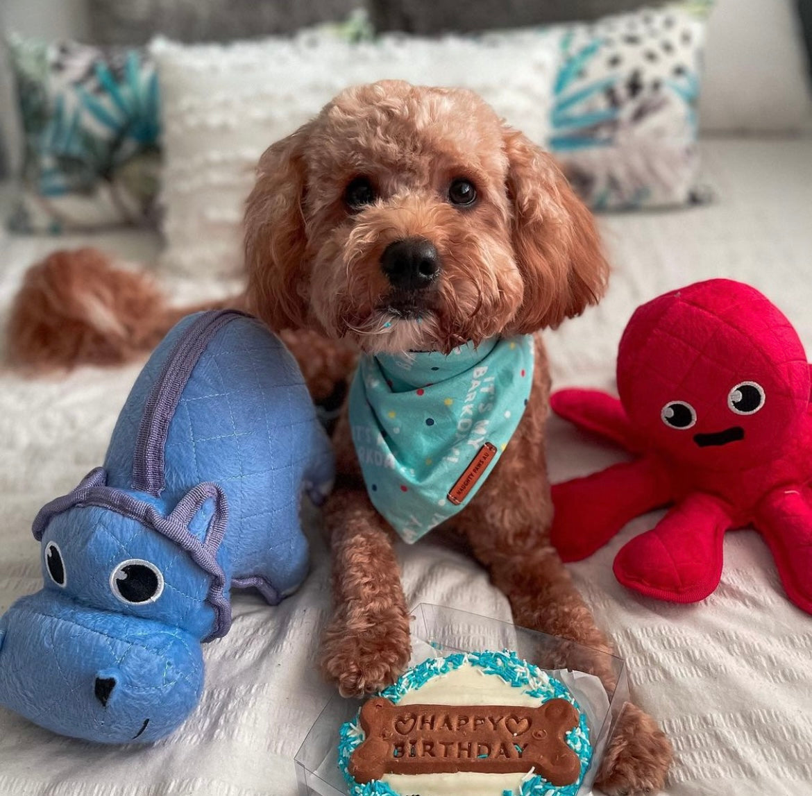 "Its my Barkday" pet bandana (BLUE)