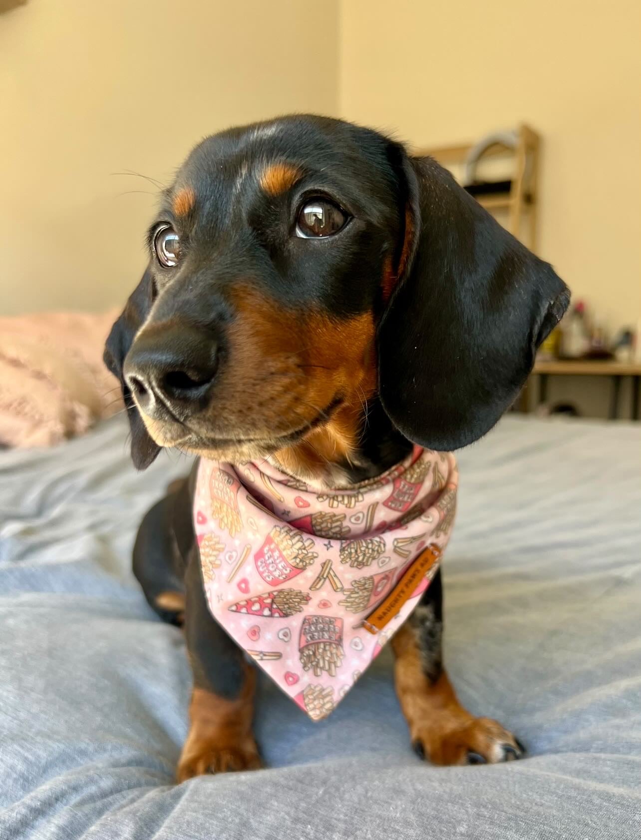 "Fries Before Guys" Pet bandana