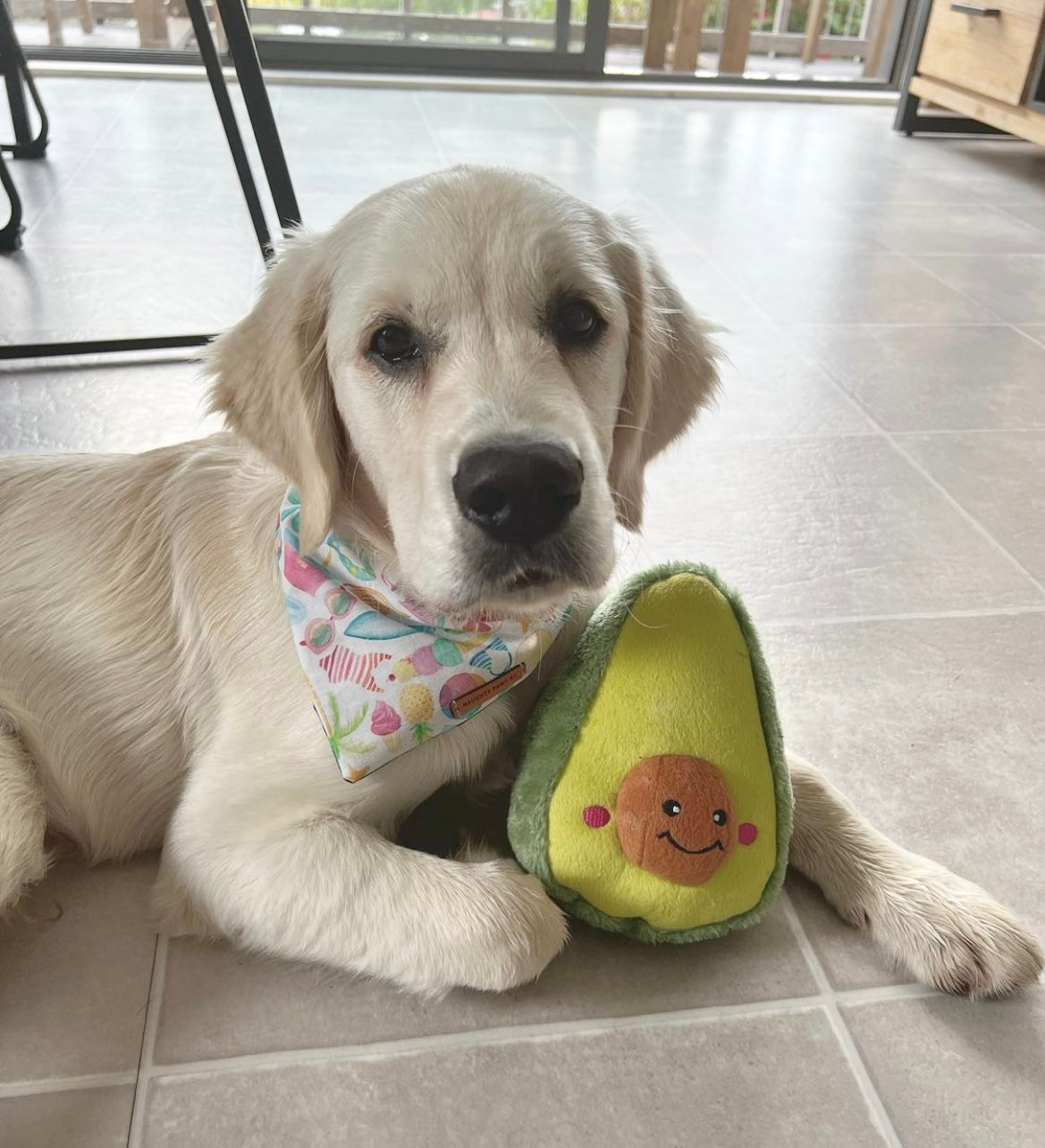 Zippy Paws NomNomz - Avocado