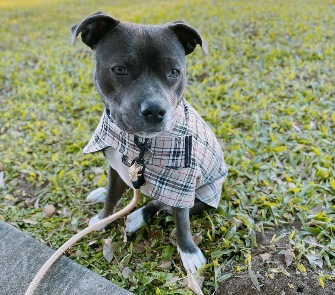 "Furrberry" Handmade Dog coat